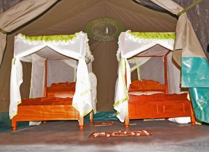 Alaskan World Adventures 10