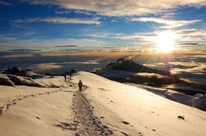 Alaskan World Adventures